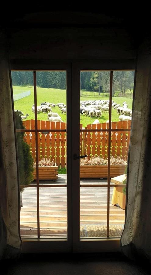 Domek Otulina Zakopane Exterior foto